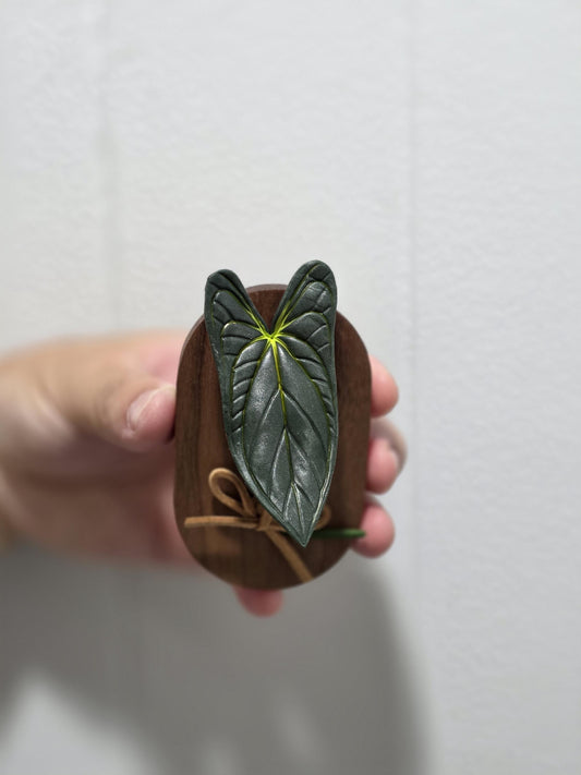Handmade Clay Refrigerator Magnet Anthurium Papi---US seller