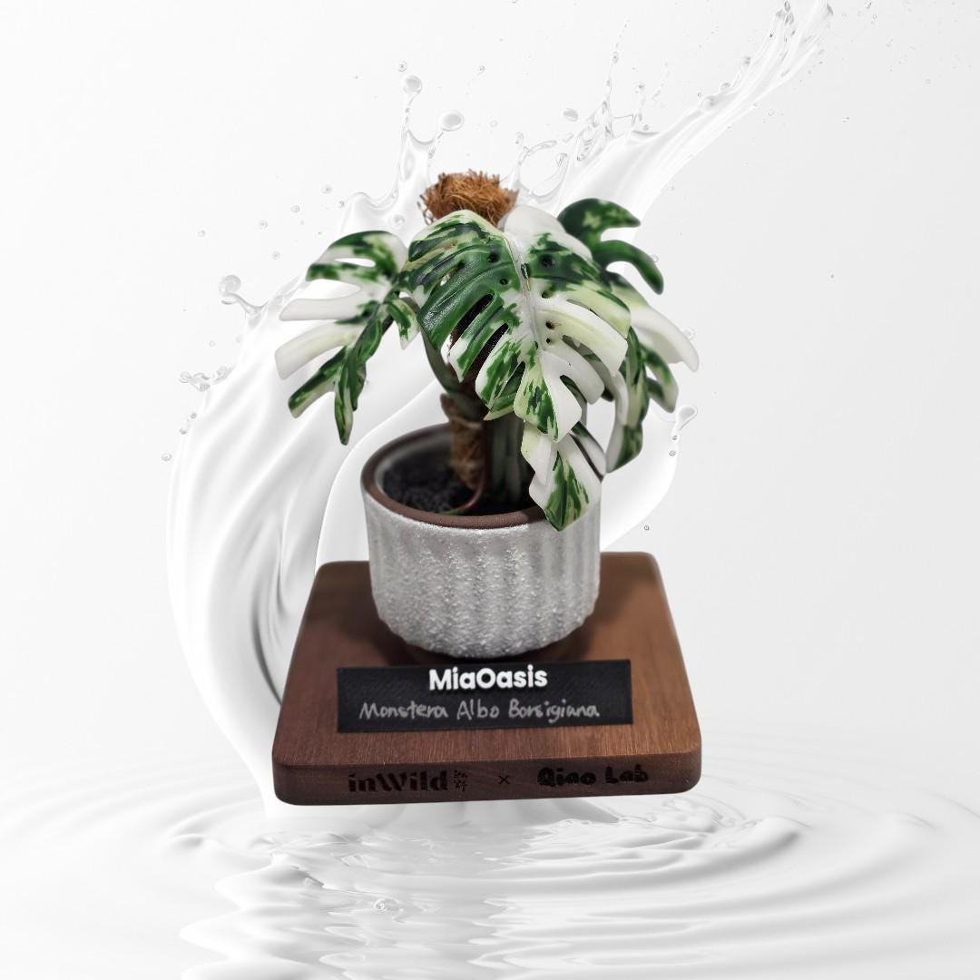 monstera decorations Handmade Customized Clay Aroid Decoration Varigated Monstera Albo --US – MiaOasis