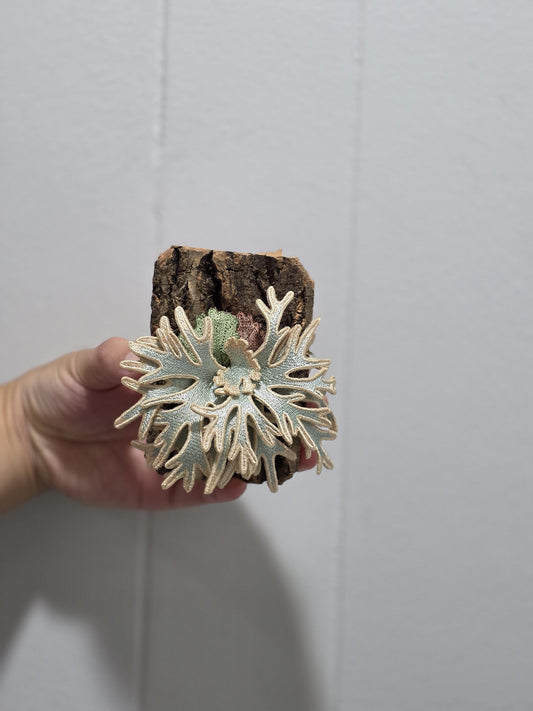 Handmade Embroidered Magnets---US seller