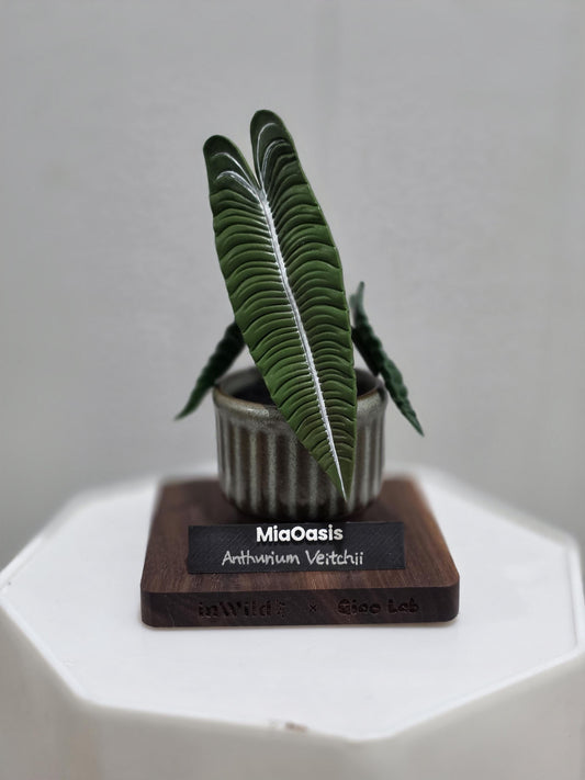 Handmade Customized Clay Aroid Decoration Anthurium King --US seller