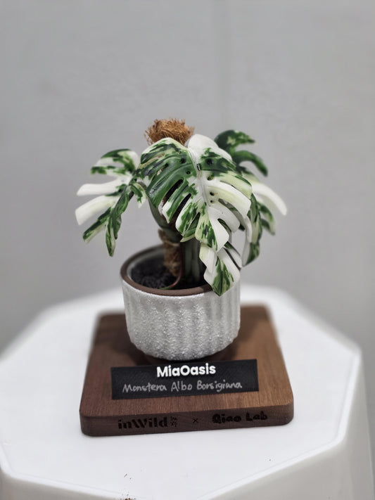 Handmade Customized Clay Aroid Decoration Varigated Monstera Albo --US seller