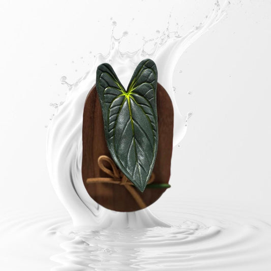 Handmade Clay Refrigerator Magnet Anthurium Papi---US seller