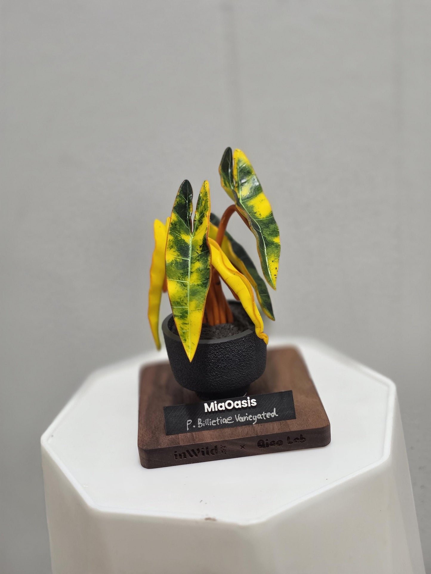 Handmade Customized Clay Aroid Decoration Varigated  billieate --US seller
