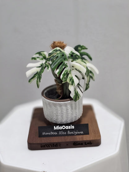 Handmade Customized Clay Aroid Decoration Varigated  Monstera Albo --US seller
